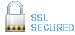 128 Bit SSL Secured